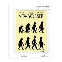 Image Republic The New Yorker 48 Falconer Evolution Poster 40 X 50 cm Wanddecoratie & -planken Multicolor Papier