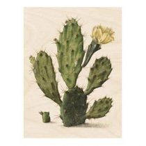KEK Amsterdam Botanical Cactus Print op hout L Wanddecoratie & -planken Multicolor Hout