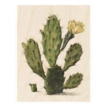 KEK Amsterdam Botanical Cactus Print op hout S Wanddecoratie & -planken Multicolor Hout