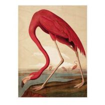 KEK Amsterdam Flamingo Print op hout L Wanddecoratie & -planken Multicolor Hout