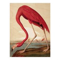 KEK Amsterdam Flamingo Print op hout M Wanddecoratie & -planken Multicolor Hout