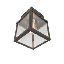 QAZQA Plafondlamp buiten rotterdam - Zwart - Modern - L 160mm Buitenverlichting Zwart Glas