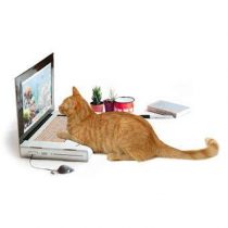 Suck UK Katten Krab Laptop Gadgets Multicolor Karton